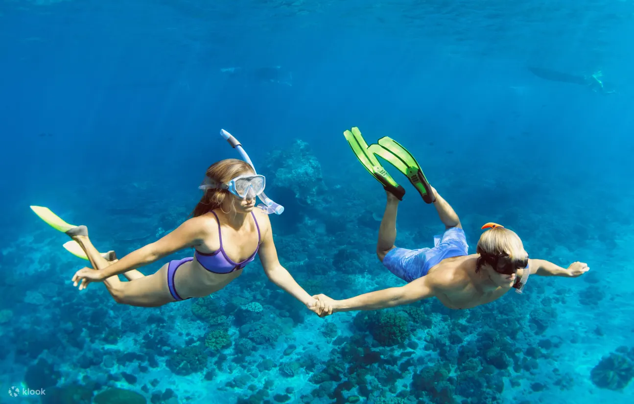 Snorkeling + West Nusa Penida