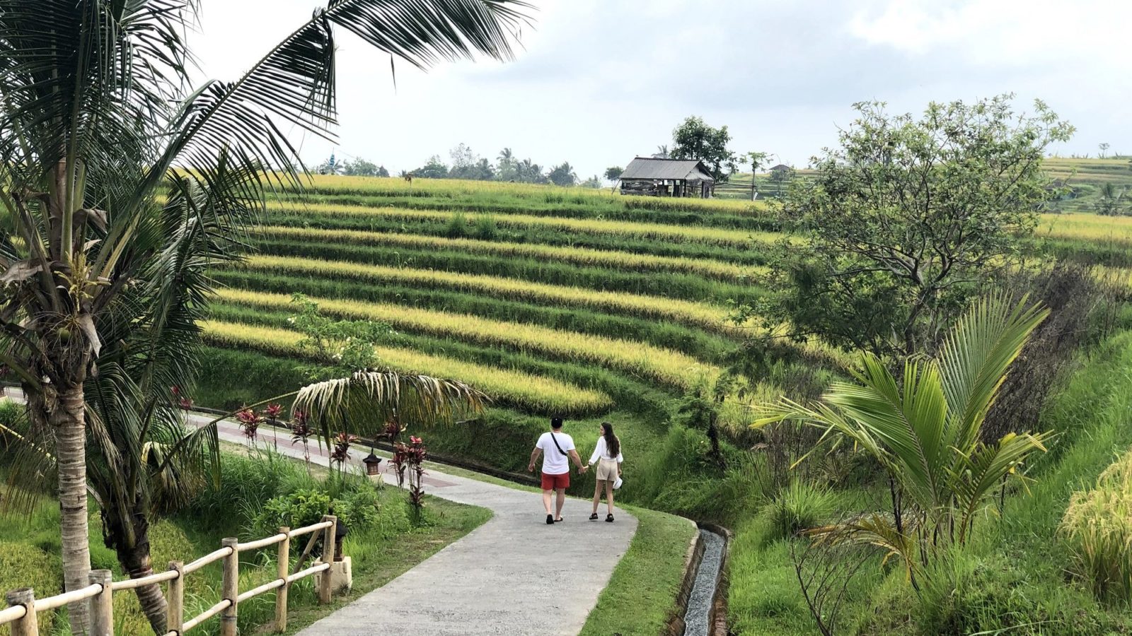 Jatiluwih rice terrace